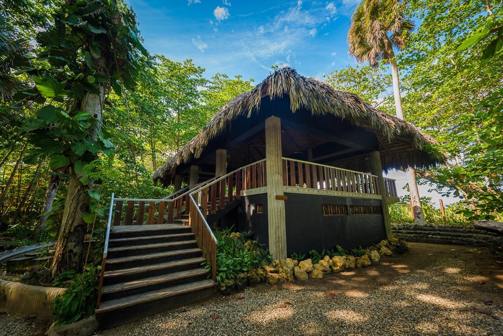 Natura Cabana Boutique Hotel & Spa By Mint Cabarete Exterior foto